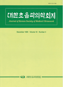 대한초음파의학회지